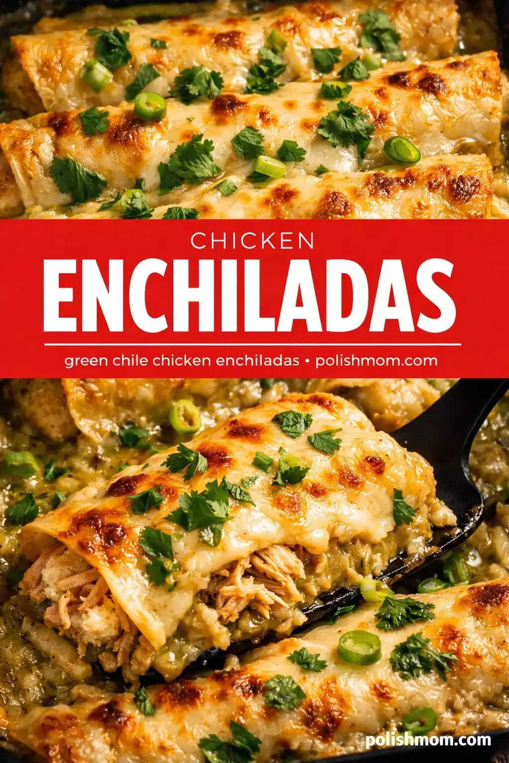 Chicken Enchiladas (Creamy Green Chile)